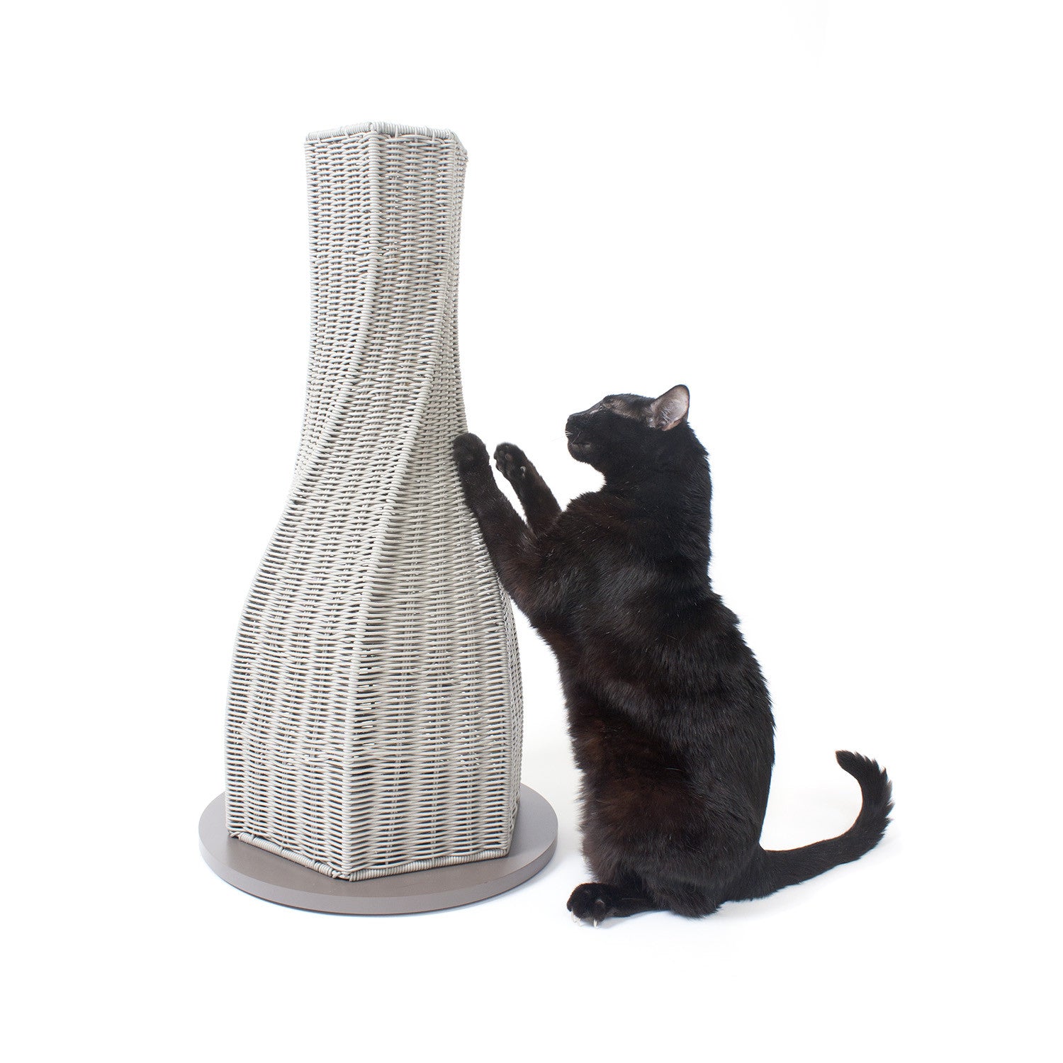 calypso cat scratcher