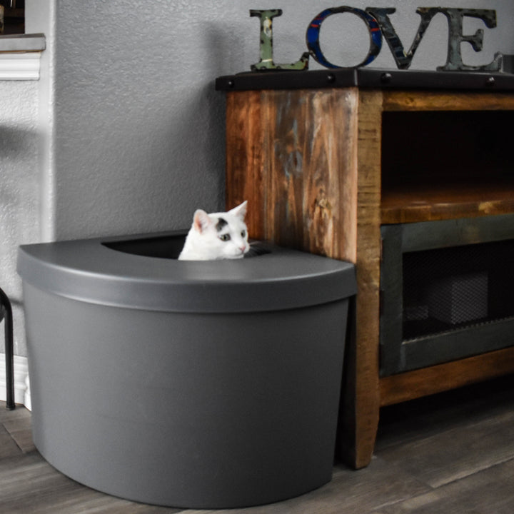 covered litter box