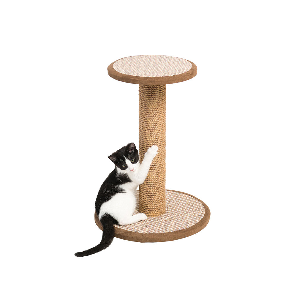 scratching post with perch