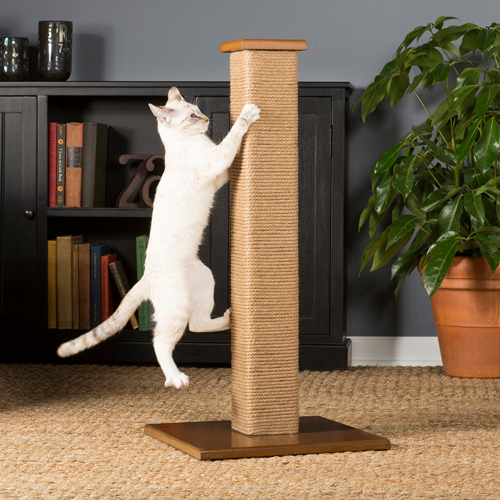 square scratching post