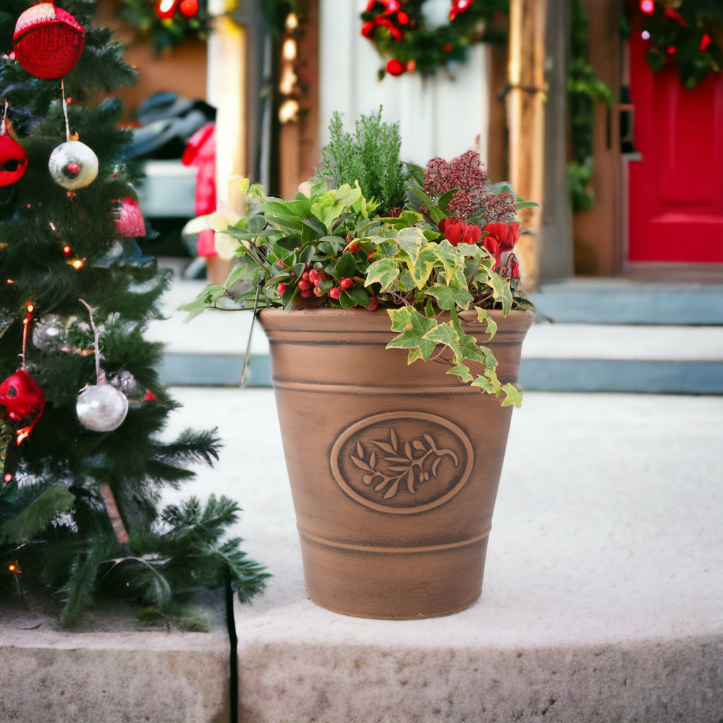 30cm Premium Festive Planted Container in Bronze Planter at Plants By Post