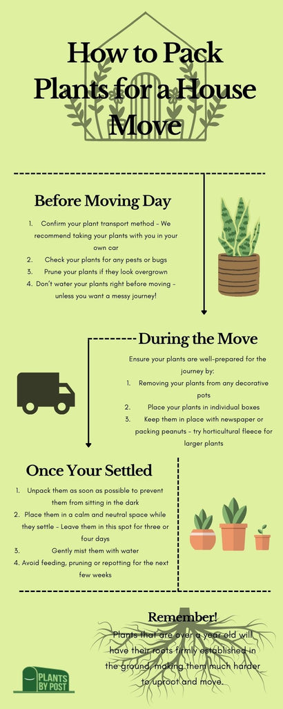 how to pack plants for a house move