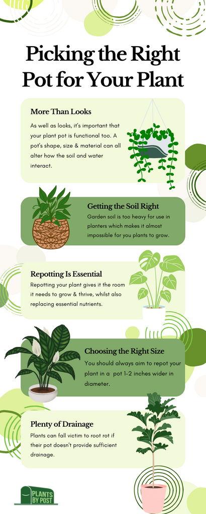 How to Pick the Perfect Pot for Your Plant