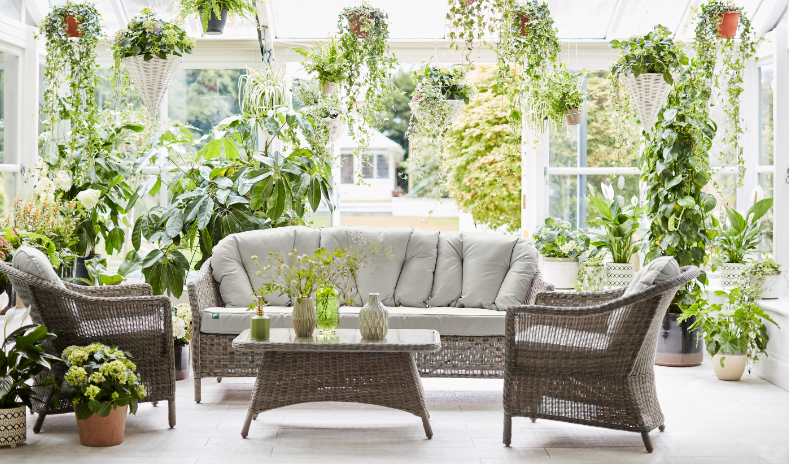 conservatory full of hanging plants and baskets from plants by post