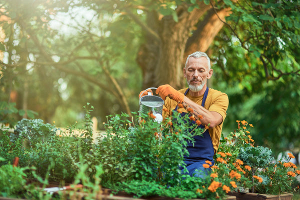 National Gardening Week with Plants By Post