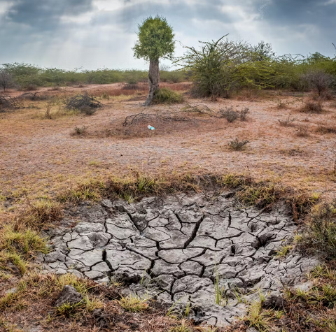 a landscape blighted by drought