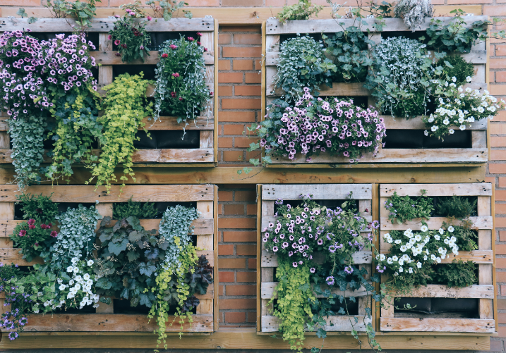 vertical gardening with plants by post