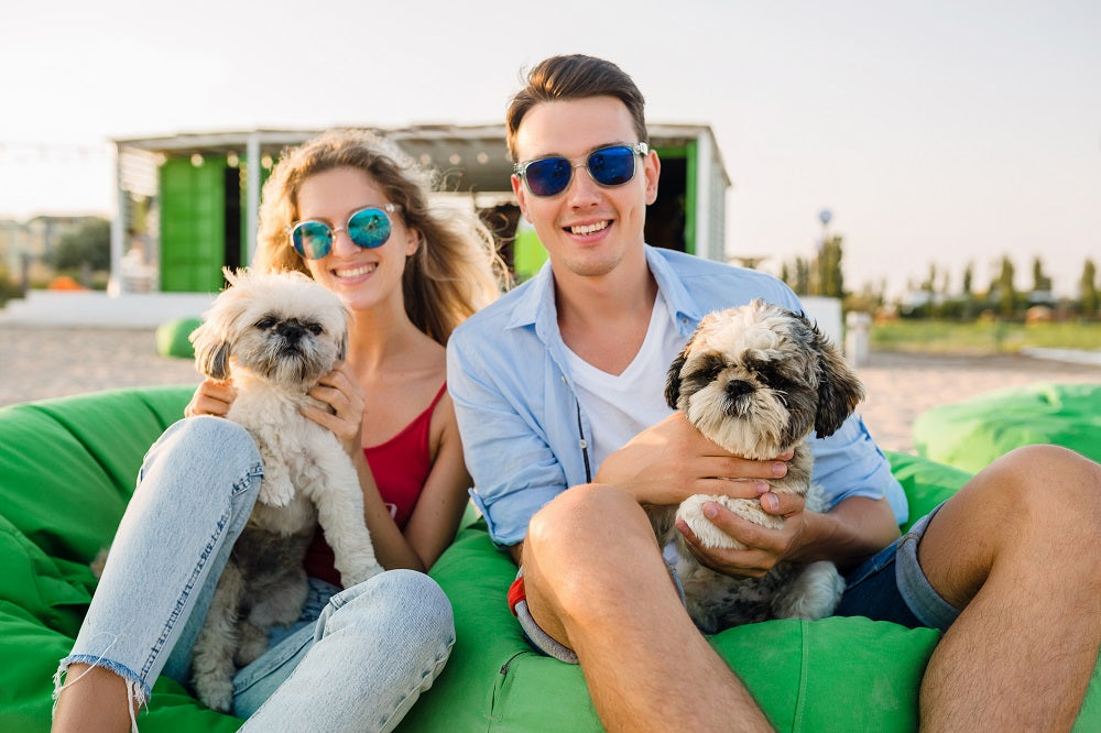 Lentes de sol y perritos