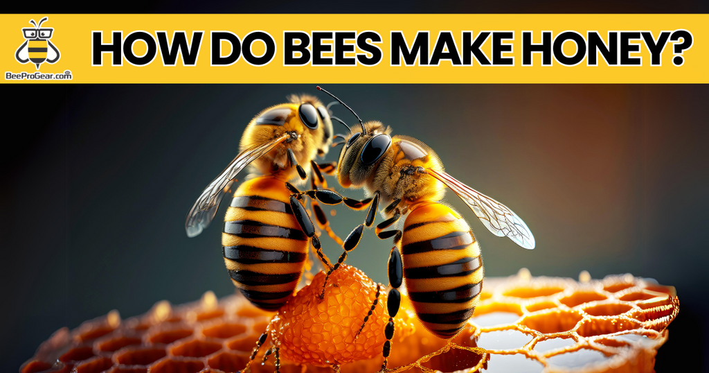 How do bees make honey?