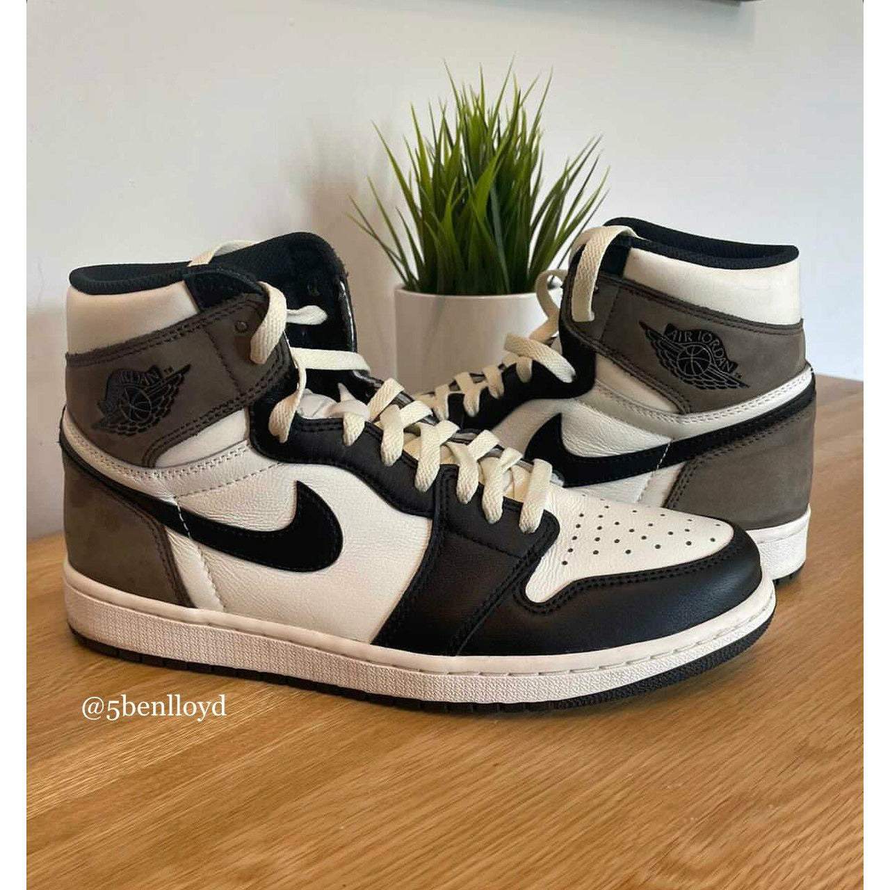 SneakerScience Jordan 1 Replacement 