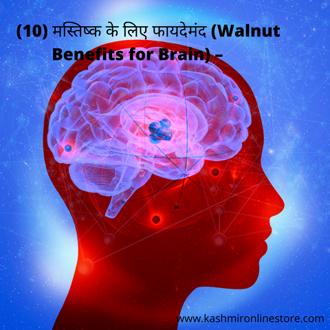 (10) मस्तिष्क के लिए फायदेमंद (Walnut Benefits for Brain) –