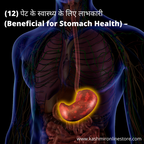 (12) पेट के स्वास्थ्य के लिए फायदेमंद (Beneficial for Pet Health) –