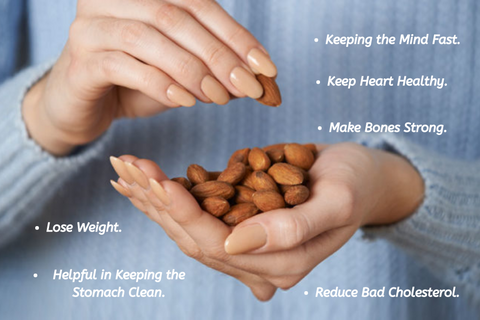 Almond Benefits For Brain