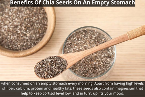benefits of chia seeds water empty stomach