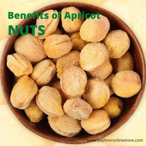 Benefits of Apricot Nuts: