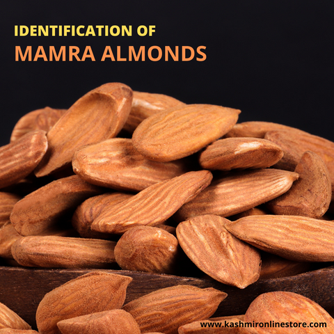 IDENTIFICATION OF MAMRA BADAM