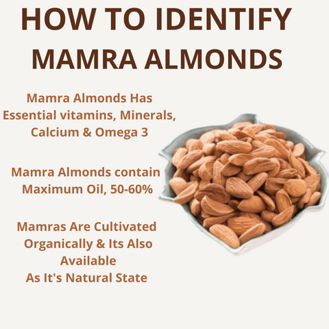 Mamra Almonds