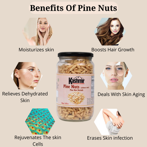 PINE NUT Benefits