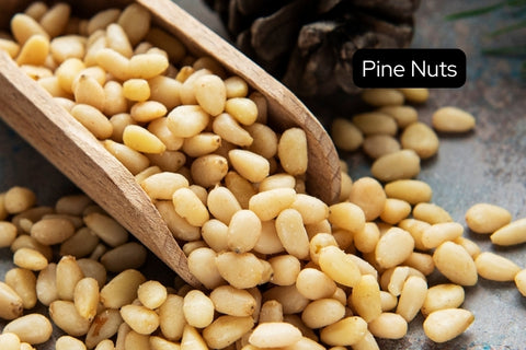 pine nuts high in protein