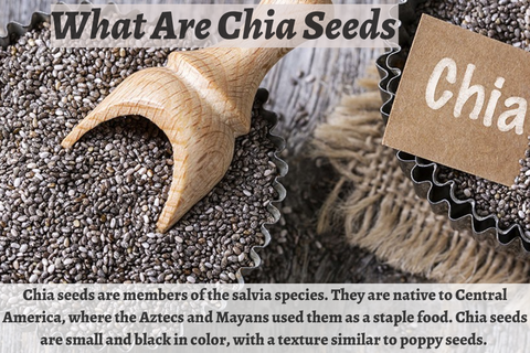 what are chai seeds