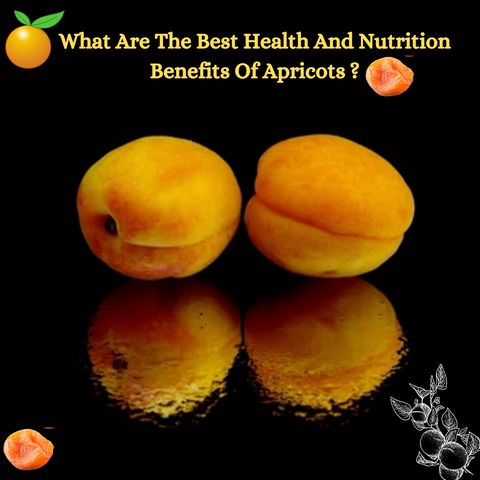 apricot benefits in pregnancy