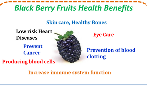 Benefits Of Black Berry