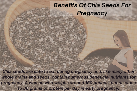 chia seeds to get pregnant