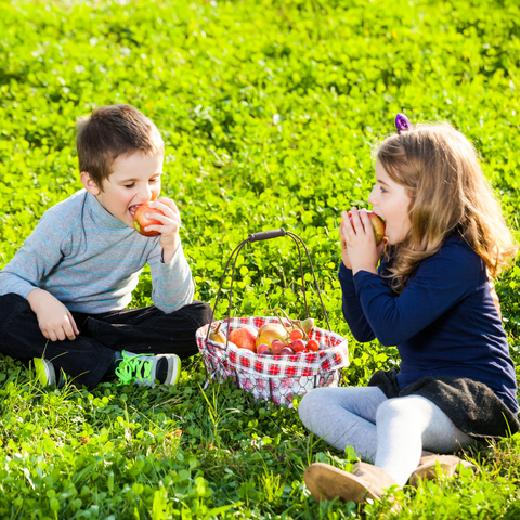 dry fruits for students