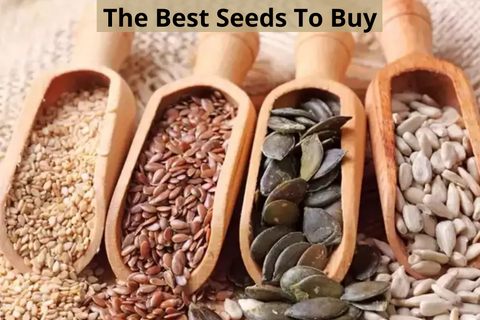 Best Seeds To Buy