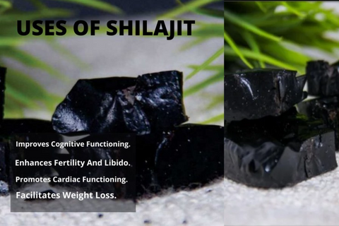 Uses Of Shilajit