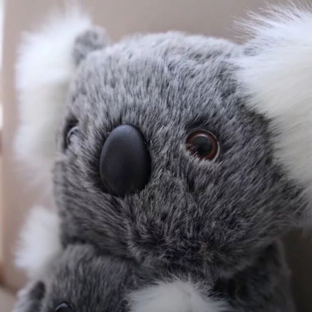 Aussie Koala Stuffed Animal Save Australia Wildlife