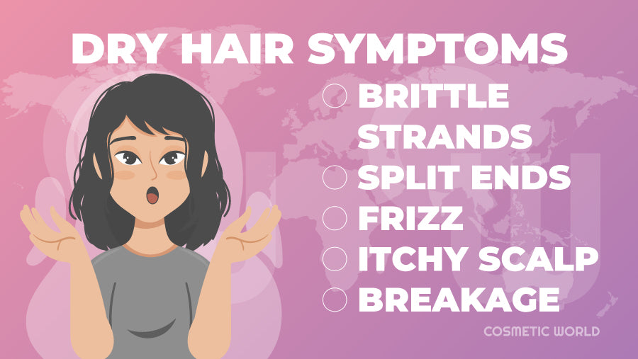 Dry Hair Symptoms - Infographic