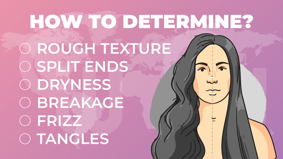 How to Determine if You Have Damaged Hair - Infographic