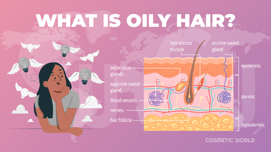 What is Oily Hair - Infographic