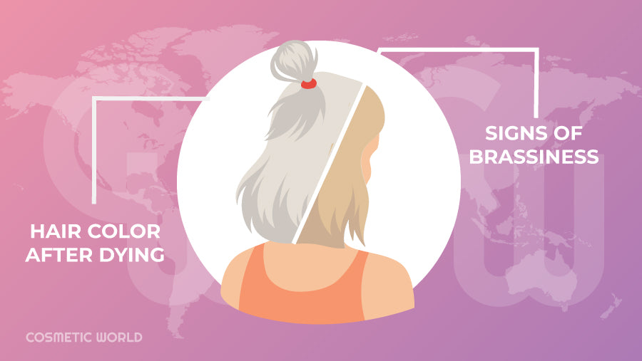 Graphic showing signs of brassiness on hair color