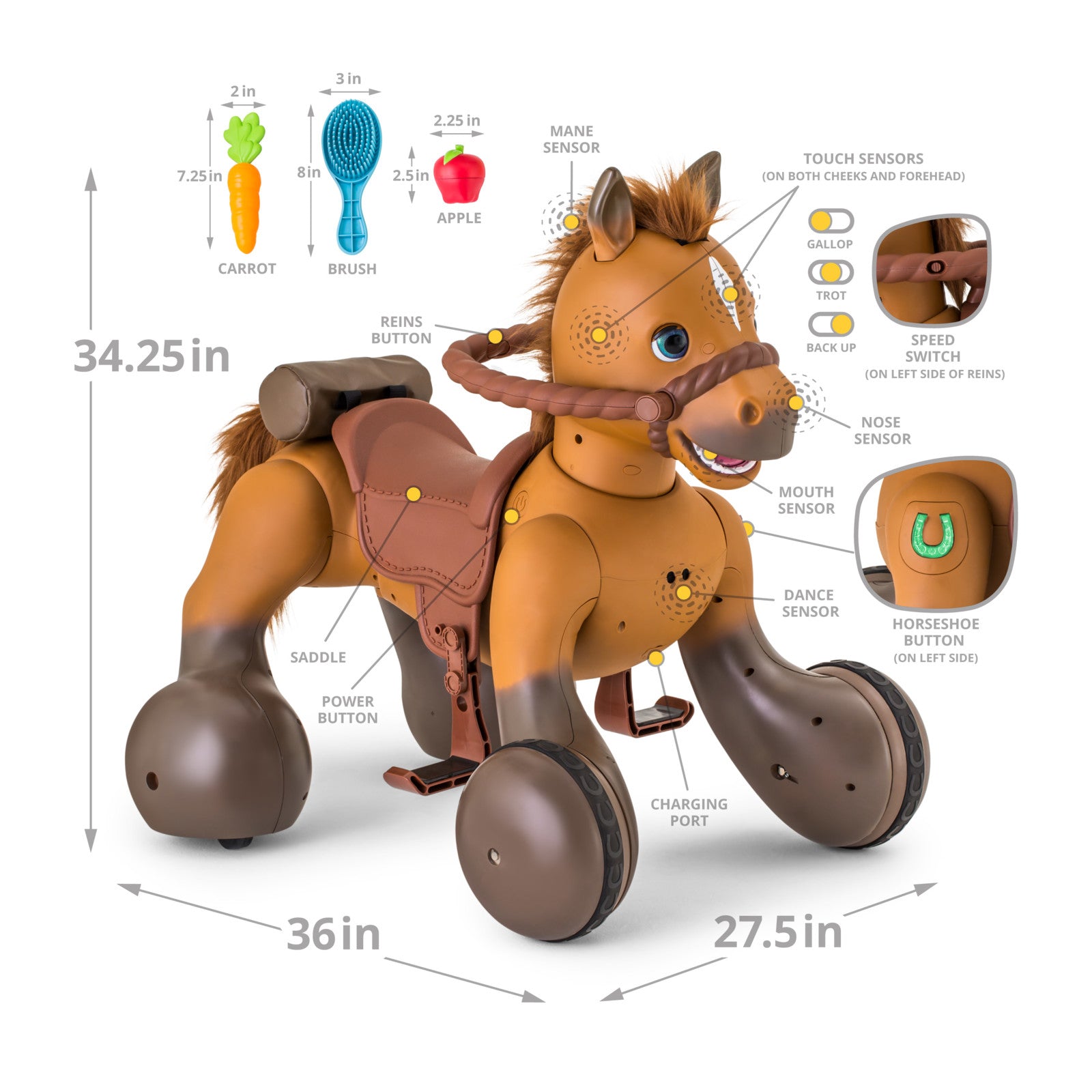 scout the interactive pony
