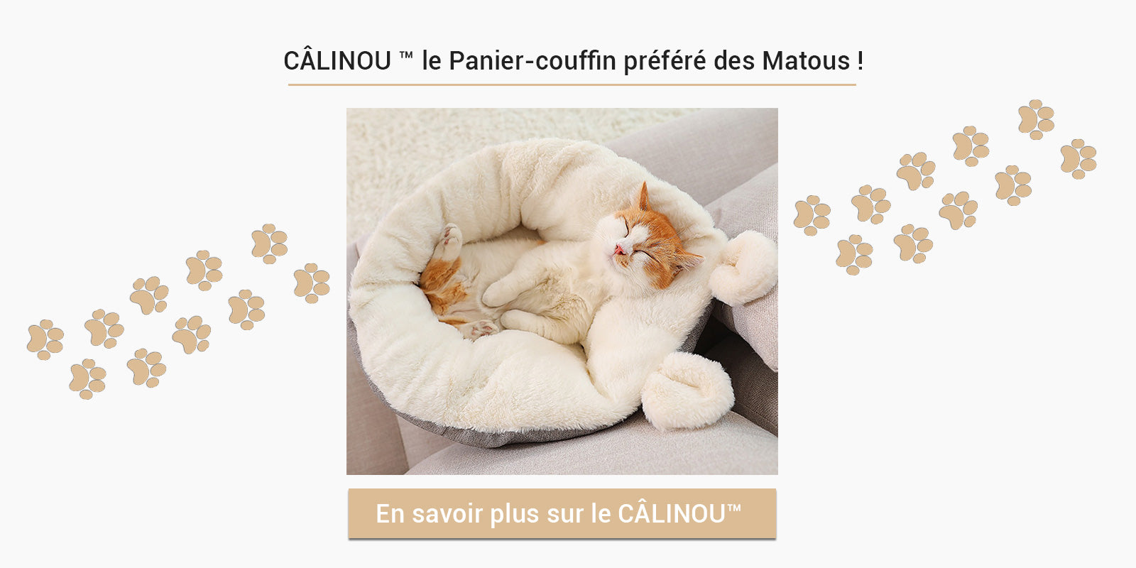 panier pour chat luxe confort câlinou