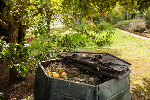 Vers de compost  Tout ce qu'il faut savoir – Hilloo environnement