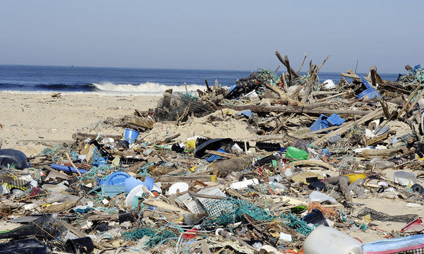 Pourquoi les coton-tiges sont une catastrophe pour les plages – L