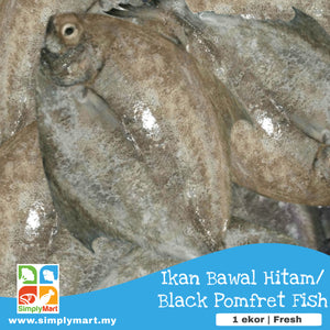 Ikan Bawal Hitam Black Pomfret Fish Simplymart
