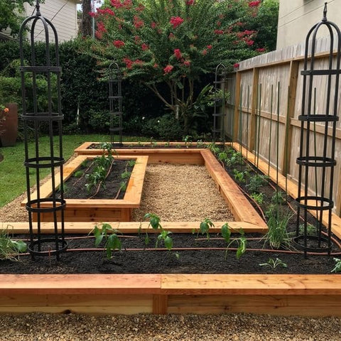 Make Your Own Kitchen Garden
