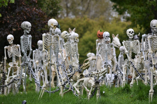 Lawn Skeletons