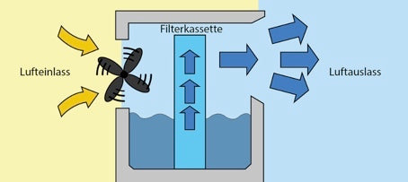 Schleimhäute brauchen Feuchtigkeit - Naturify.ch