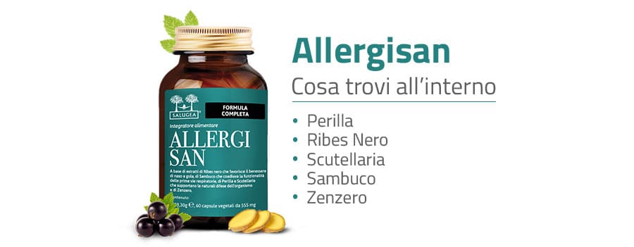 ingredienti dell'integratore Allergisan