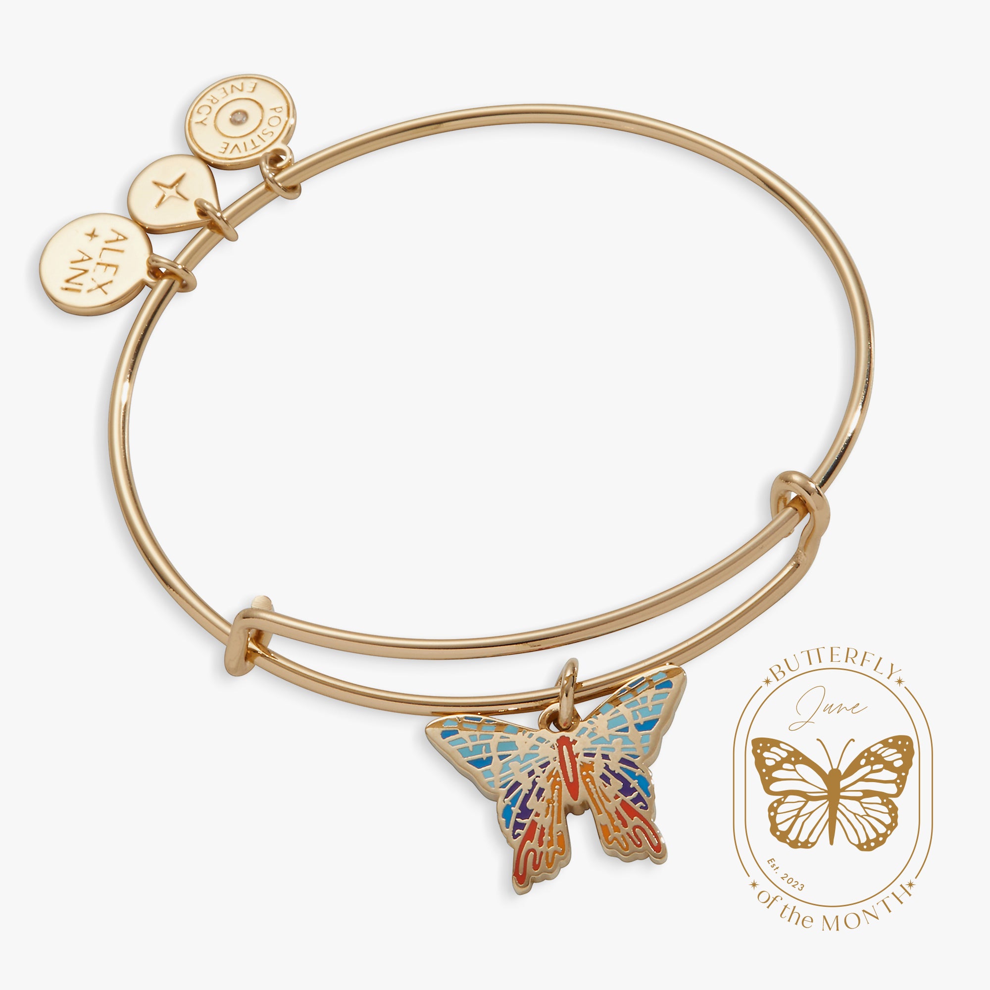 Angel Wings Charm Bracelet Bangle Gold | Alex and Ani