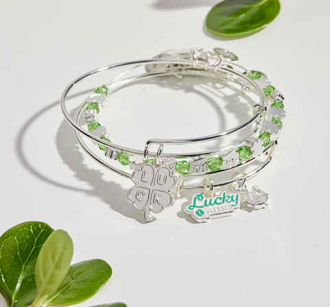 Irish Four Leaf Clover + Stainless Steel + Charm Bracelets