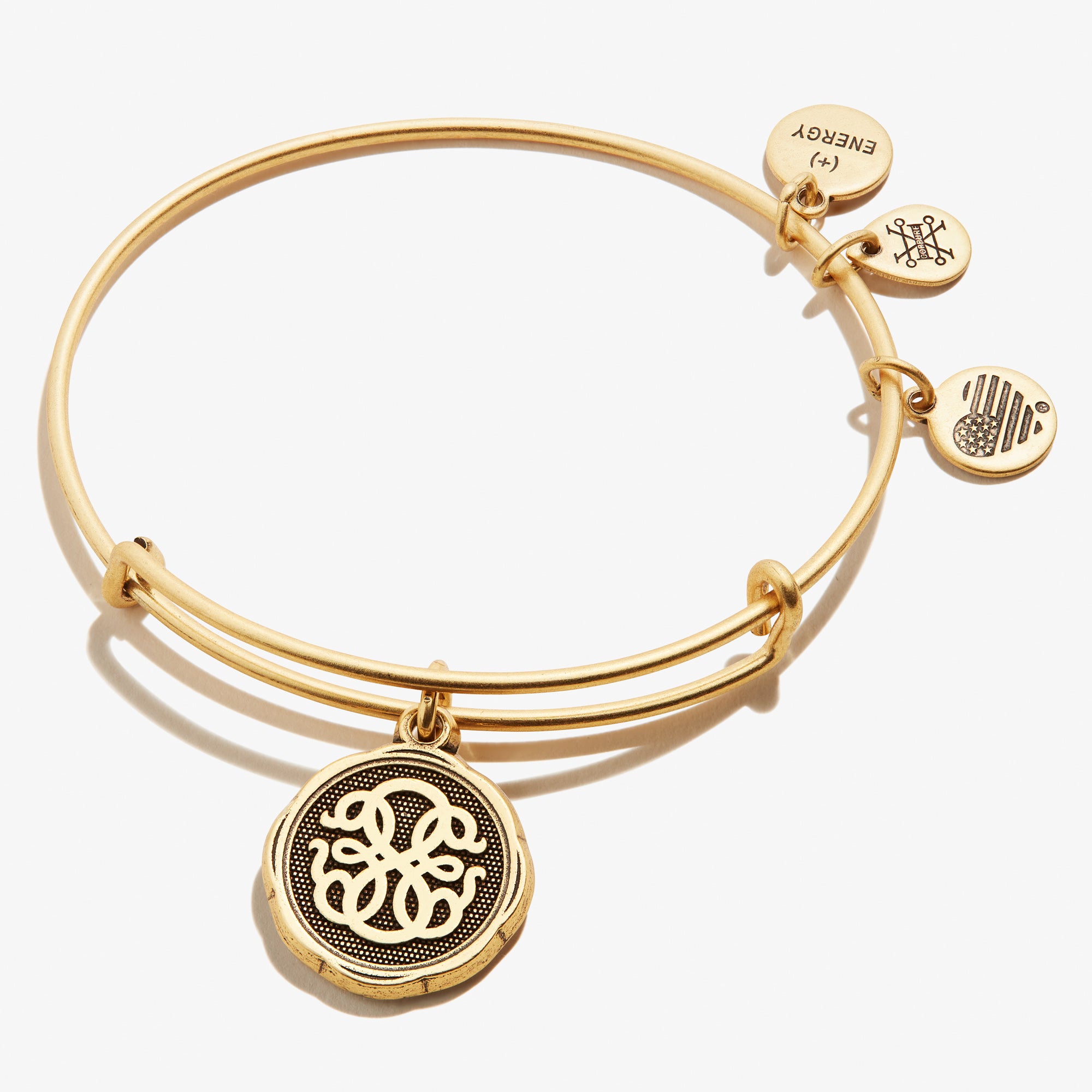 Alex and Ani Womens Because I Love You Charm Bangle Bracelet, Rafaelia  レディースアクセサリー