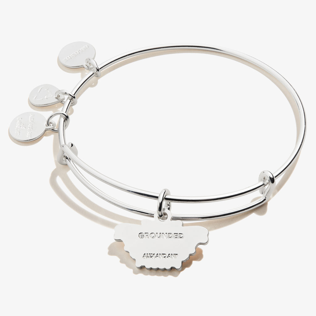 Comma Butterfly Charm Bangle - Alex and Ani