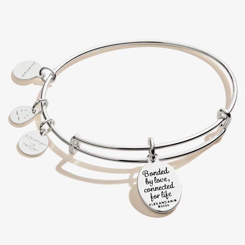 Love' Charm Bangle - ALEX AND ANI