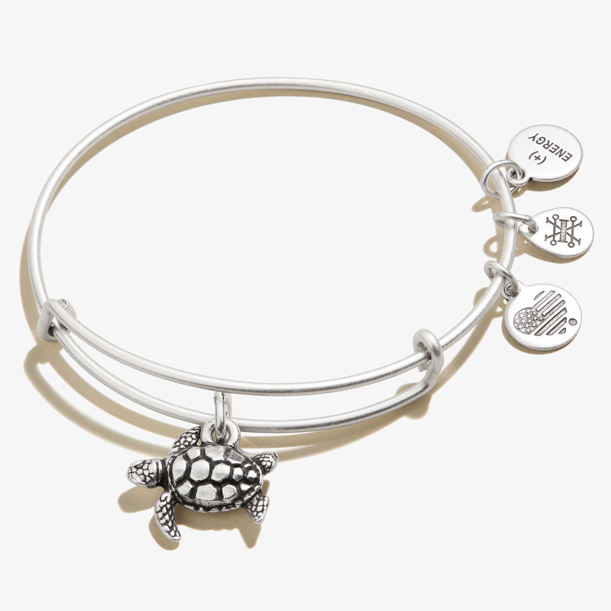 Turtle Charm Bangle Bracelet - Alex and Ani